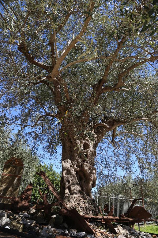 La Masseria Pietramarmo Caiazzo - App To Con Vista Exteriér fotografie